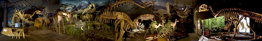 Delaware Museum of Natural History, 2008. Archival pigment print, 36" x 6".