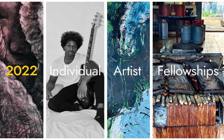 Individual Artist Fellowships provide funding to Delaware creative artists working in the visual, performing, media, folk, and literary arts.