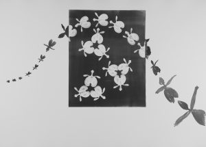 black and white photograph of flowers at different stages of opening